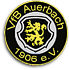 Vorbereitungsspiel VfB Auerbach - FSV Zwickau